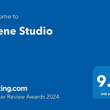 Silene Studio Craiova Ngoại thất bức ảnh